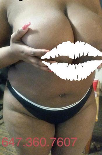 , 21  female escort, Kitchener