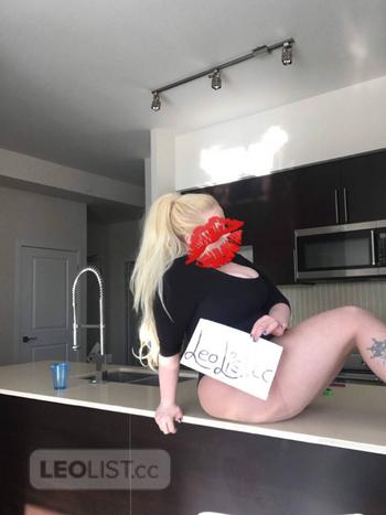Brittany star, 24 Caucasian/White female escort, Kitchener